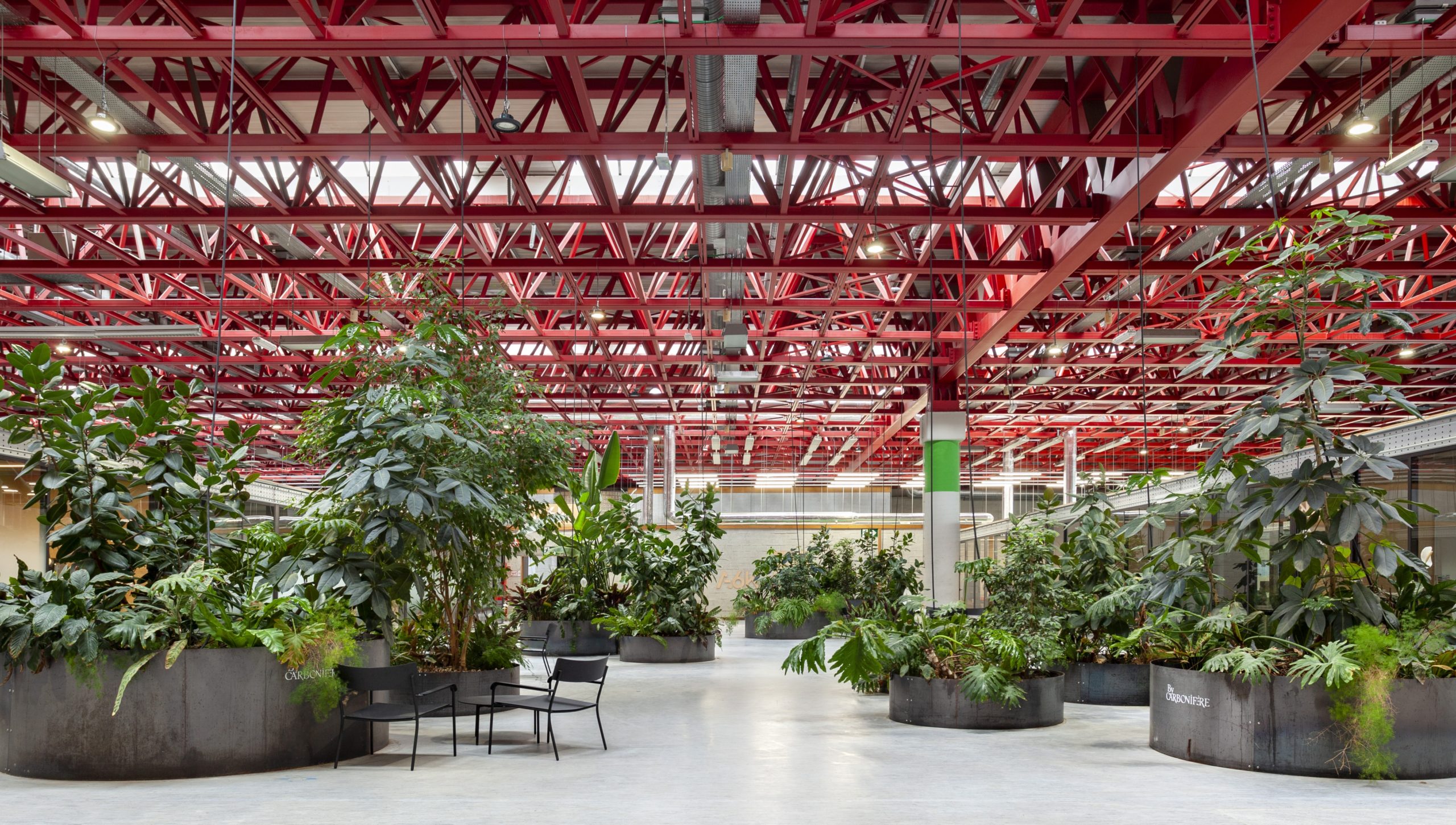 A6K Urban Jungle Charleroi